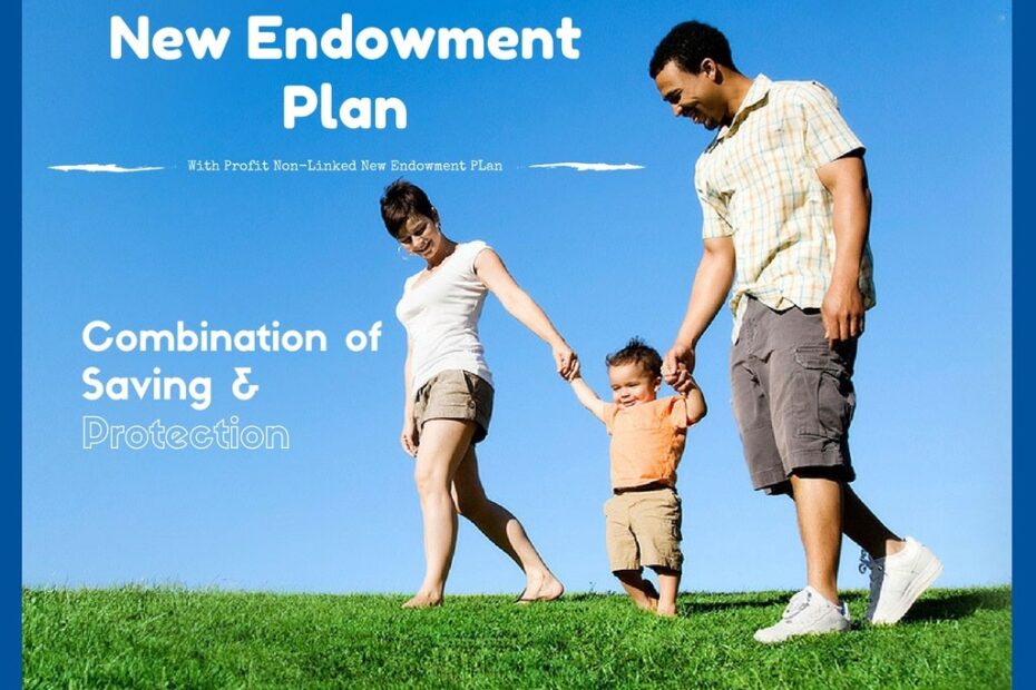 NEW ENDOWMENT PLAN